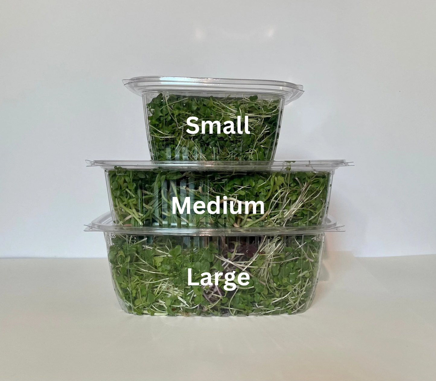 Broccoli (Wholesale)