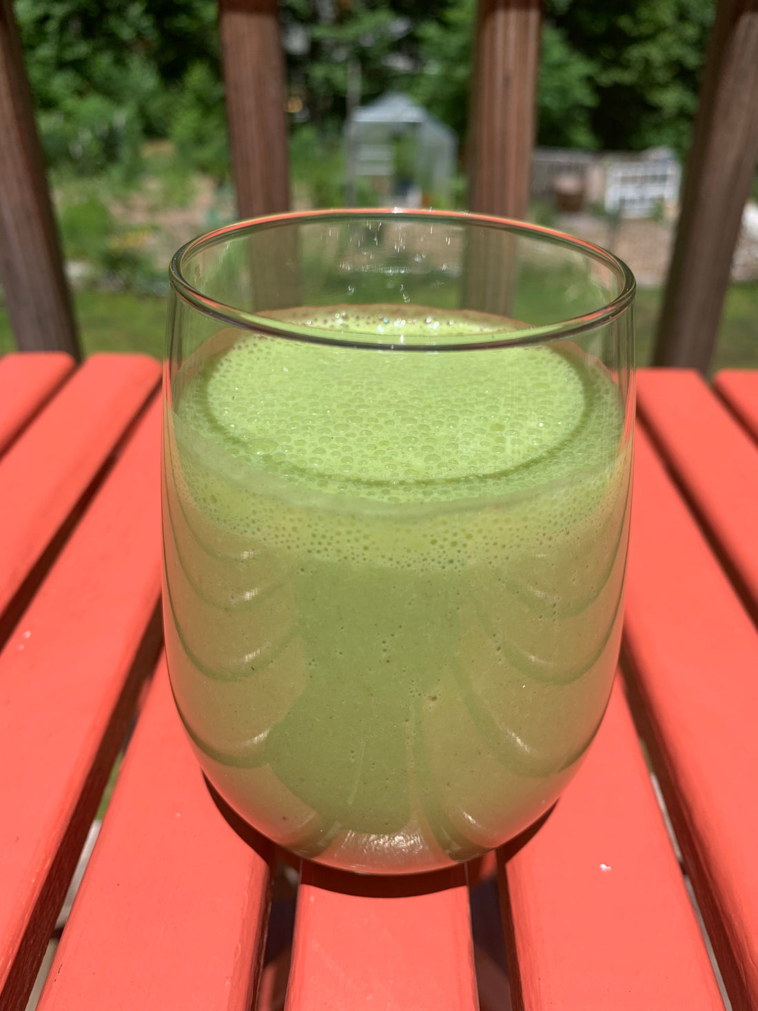 Recipe of the Month: Green Smoothie