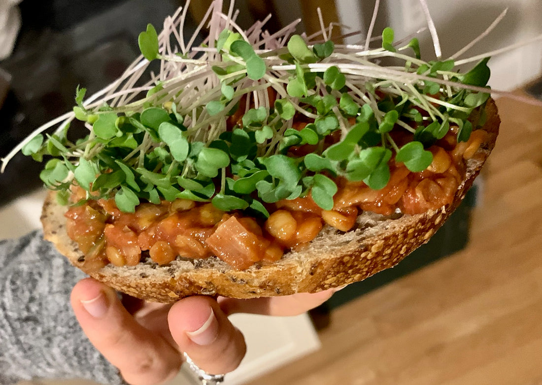 Recipe of the Week: Lentil Sloppy Joes with Microgreens