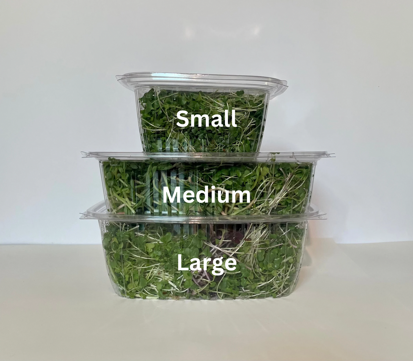 Micro Salad Mix